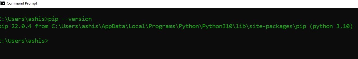 How to Install Python on Windows