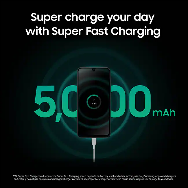Fast Charging